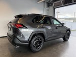 2019 Toyota RAV4 Hybrid LE
