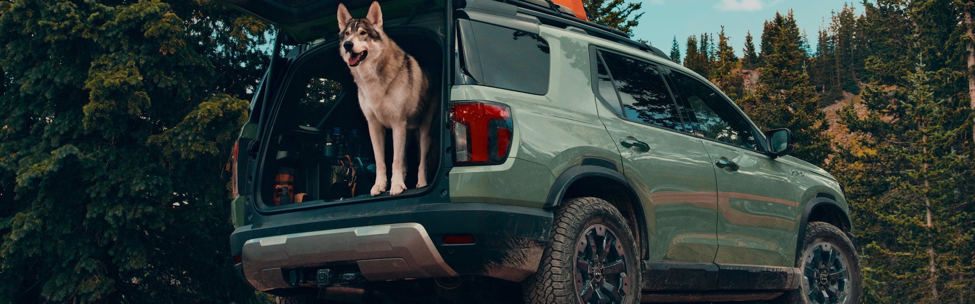 Honda Passport TrailSport Elite and TrailSport Elite Blackout Trims in Longview, WA - Stirling Honda
